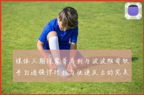 媒体人期待蒙哥马利与波波维奇联手打造强悍对抗与快速反击的完美结合